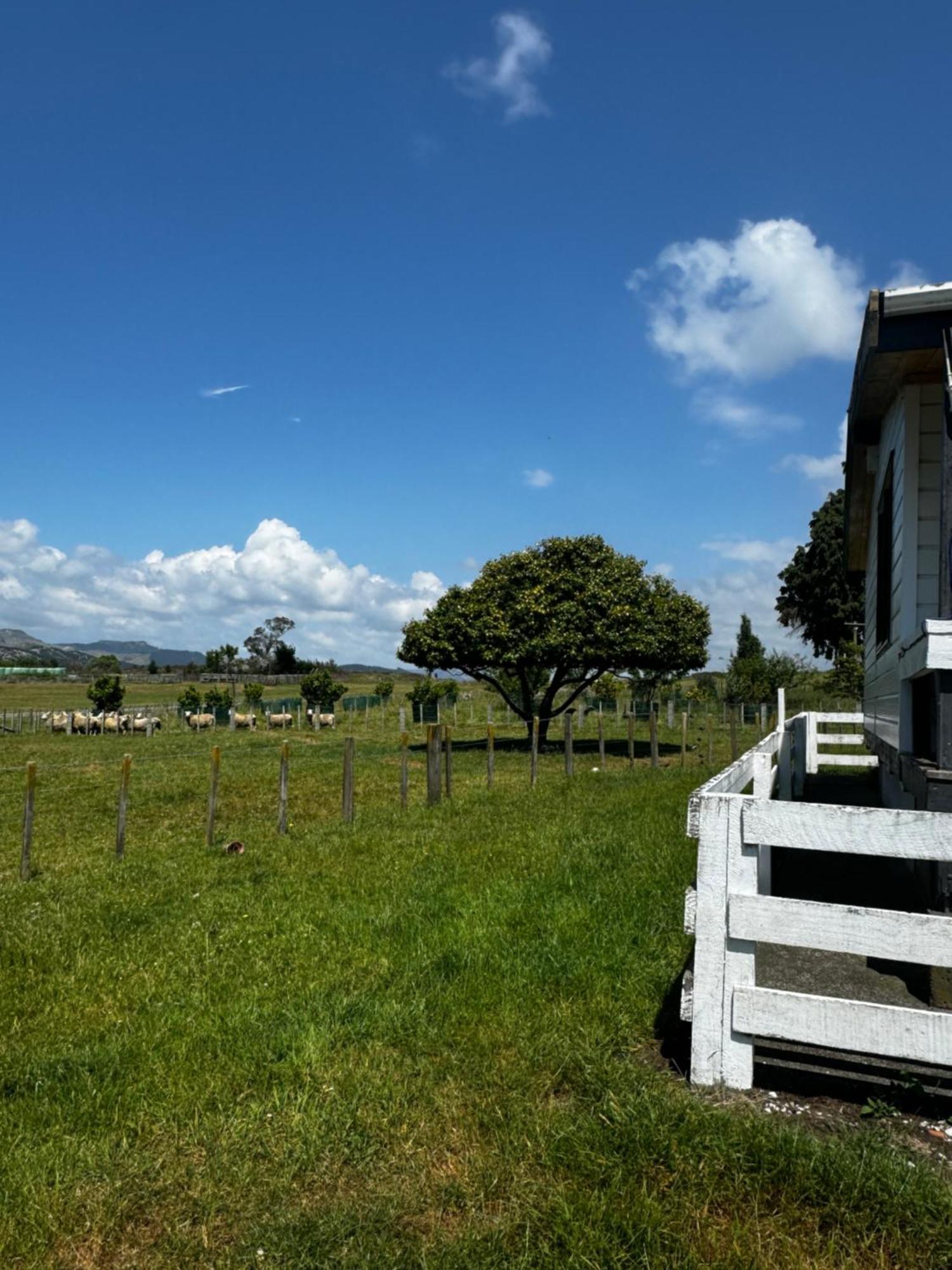 Lockwood Country House Retreat Putorino エクステリア 写真